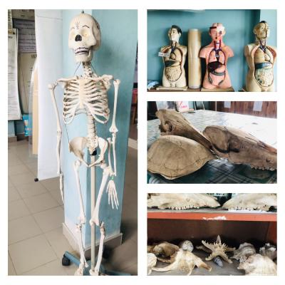 Laboratories